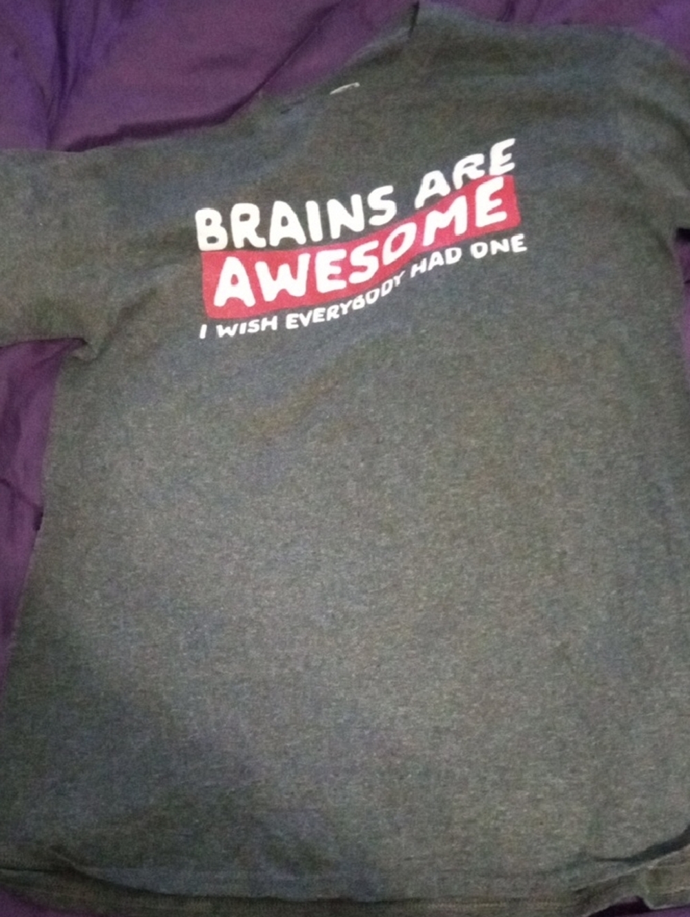 Kids Gray Graphic Sweatshirt with Red Accent - 'Brains Are Awesome'